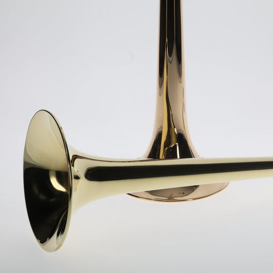 Blackburn Bell: Bb 313 Bell, Ambronze